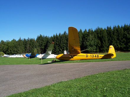 Meise--_K6.jpg